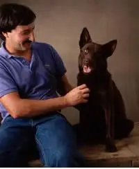 Фото породы австралийский келпи